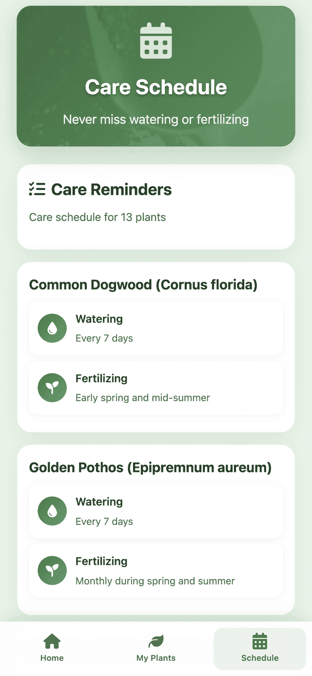 App screenshot 4