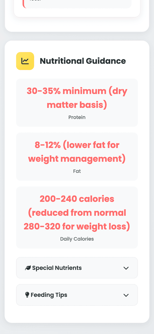 App screenshot 3