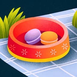 Pack It Smart icon