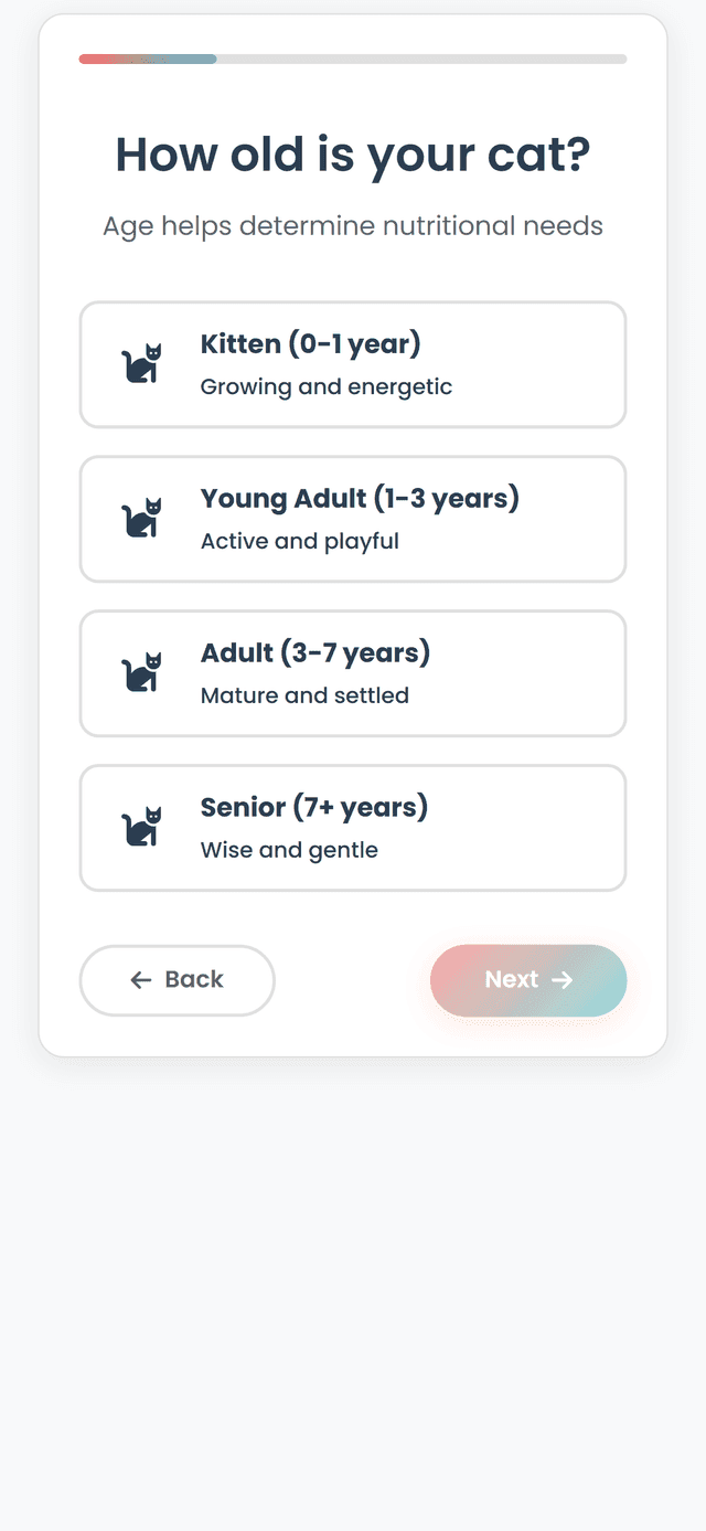 App screenshot 2
